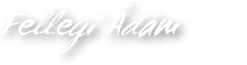 Fellegi Ádám Logo